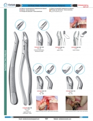 Extracting Forceps